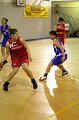 Basket 443011